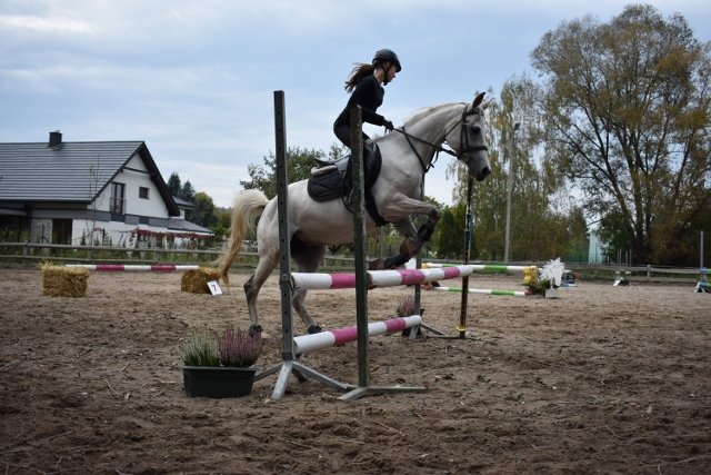 bABIE lATO 2018